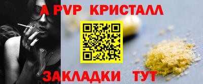 СК Рязань