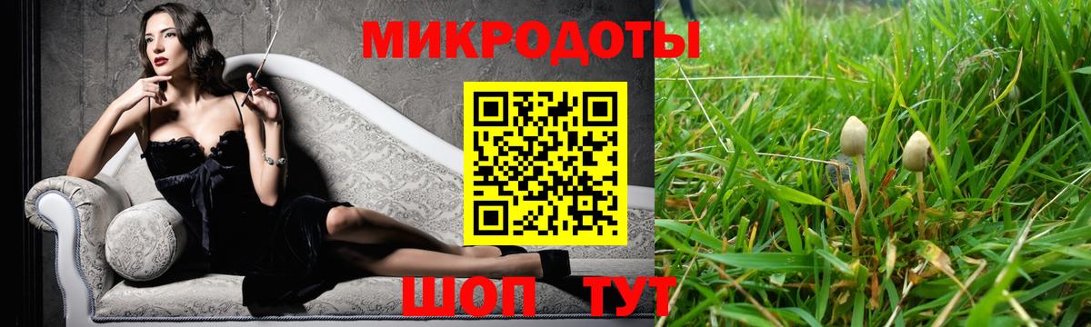 Псилоцибиновые грибы Psilocybe  Вход с VPN  где можно купить наркотик  Сыктывкар  Псилоцибиновые грибы GOLDEN TEACHER 